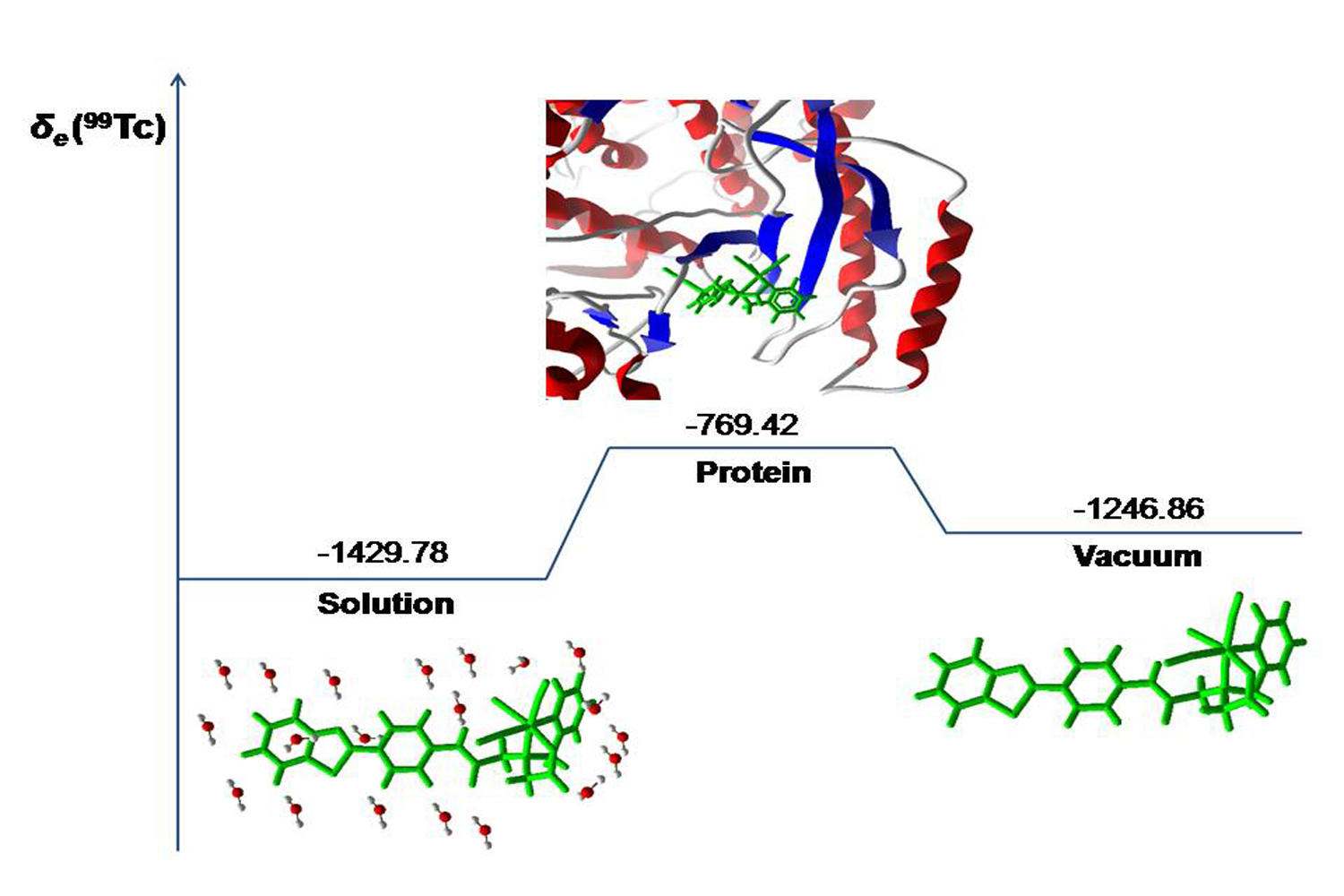 99Tc NMR as a Promising Technique for Structural Investigation of Biomolecules