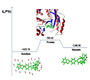 99Tc NMR as a Promising Technique for Structural Investigation of Biomolecules