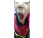 Tongue Tie/Ankyloglossia