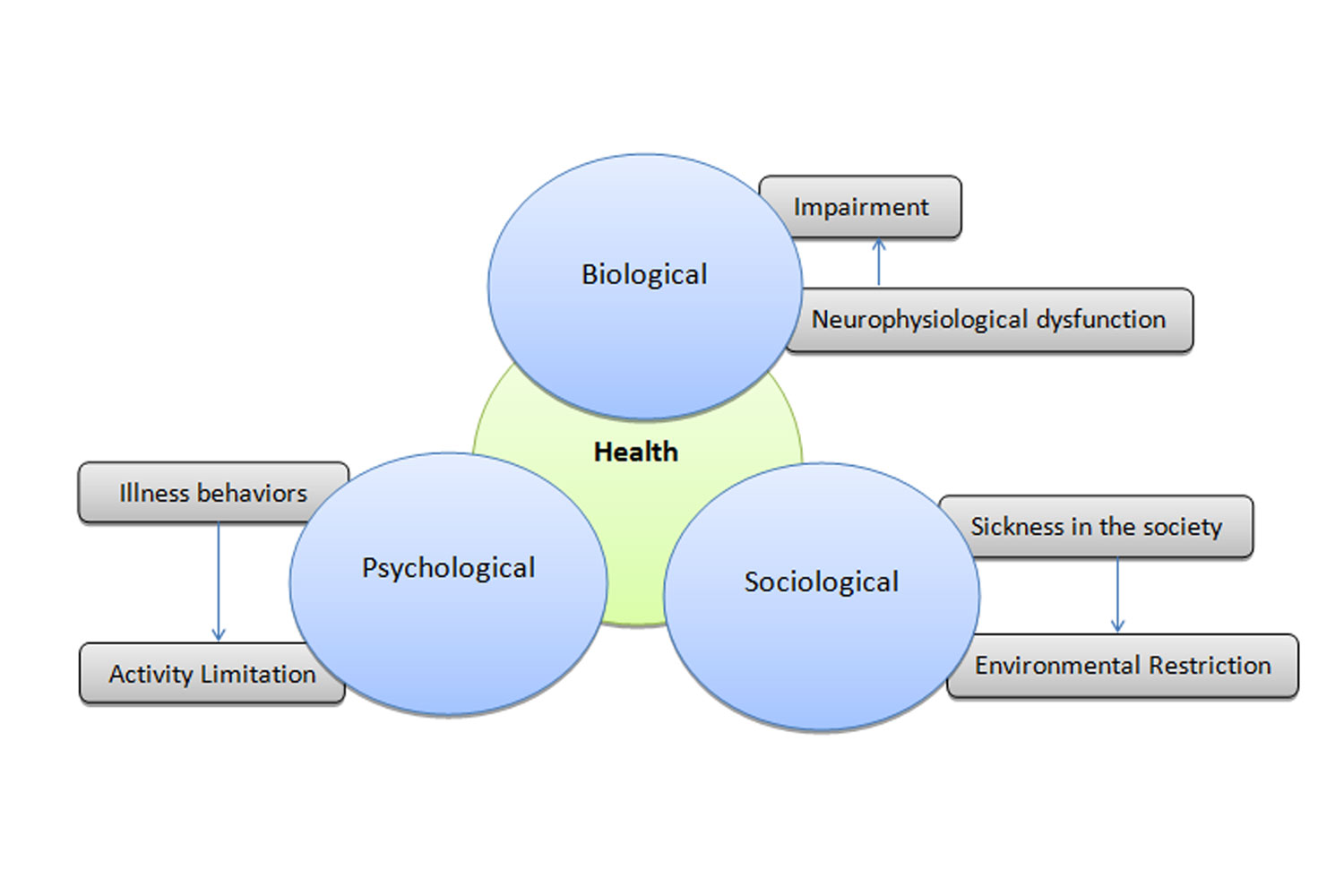 Bio-psychosocial Model Of Health